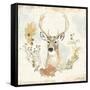 Woodland Wreath VIII-Beth Grove-Framed Stretched Canvas