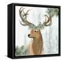 Woodland-Kim Allen-Framed Stretched Canvas