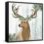 Woodland-Kim Allen-Framed Stretched Canvas