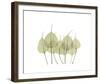 Woodlands I-Acee-Framed Giclee Print