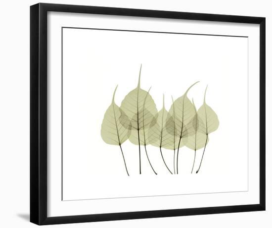 Woodlands I-Acee-Framed Giclee Print