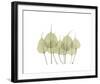 Woodlands I-Acee-Framed Giclee Print