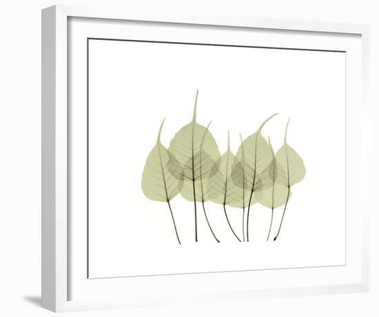 Woodlands I-Acee-Framed Giclee Print