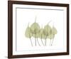 Woodlands I-Acee-Framed Giclee Print