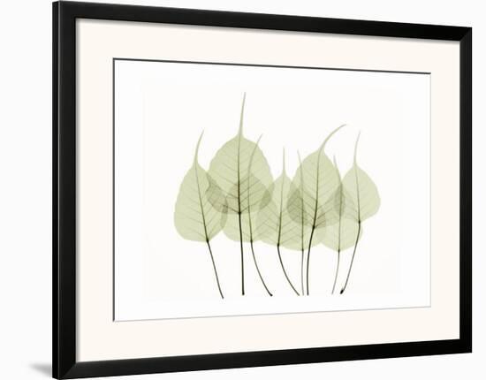 Woodlands I-Acee-Framed Art Print