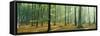 Woodlands Near Annweiler Germany-null-Framed Stretched Canvas