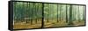 Woodlands Near Annweiler Germany-null-Framed Stretched Canvas