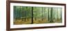 Woodlands Near Annweiler Germany-null-Framed Photographic Print