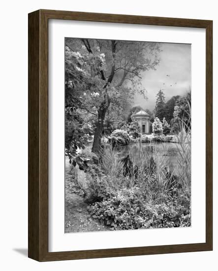 Woodlawn Dreaming-Jessica Jenney-Framed Giclee Print