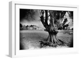 Woodlawn House, County Galway, Ireland-Simon Marsden-Framed Giclee Print