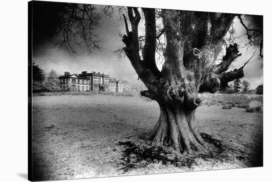 Woodlawn House, County Galway, Ireland-Simon Marsden-Stretched Canvas