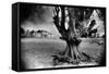 Woodlawn House, County Galway, Ireland-Simon Marsden-Framed Stretched Canvas