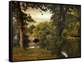 Woodlawn Reflections-Jessica Jenney-Framed Stretched Canvas