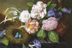 Still Life of Camelias-Woodleigh Marx Hubbard-Stretched Canvas