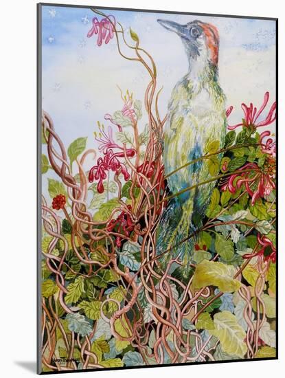 Woodpecker in the Honeysuckle, 2010-Joan Thewsey-Mounted Giclee Print
