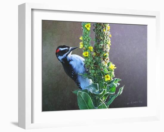 Woodpecker Mullen-Chris Vest-Framed Art Print