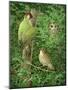 Woodpecker, Owl and Thrush-Birgitte Hendil-Mounted Giclee Print