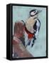 Woodpecker Paintstrokes II-Jennifer Parker-Framed Stretched Canvas