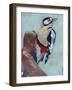 Woodpecker Paintstrokes II-Jennifer Parker-Framed Art Print