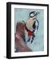 Woodpecker Paintstrokes II-Jennifer Parker-Framed Art Print