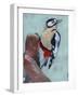 Woodpecker Paintstrokes II-Jennifer Parker-Framed Art Print