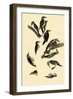 Woodpeckers-John James Audubon-Framed Giclee Print