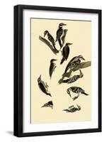 Woodpeckers-John James Audubon-Framed Giclee Print