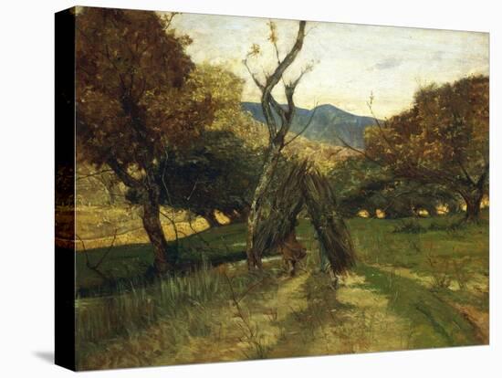 Woodpile, Circa 1874-Giovanni Fattori-Stretched Canvas