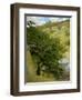 Woodpile in Landscape-Vittorio Matteo Corcos-Framed Giclee Print