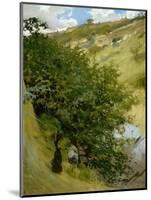 Woodpile in Landscape-Vittorio Matteo Corcos-Mounted Giclee Print