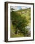 Woodpile in Landscape-Vittorio Matteo Corcos-Framed Giclee Print