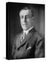 Woodrow Wilson, 1913-20-Harris & Ewing-Stretched Canvas