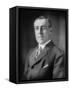 Woodrow Wilson, 1913-20-Harris & Ewing-Framed Stretched Canvas