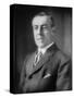 Woodrow Wilson, 1913-20-Harris & Ewing-Stretched Canvas