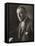 Woodrow Wilson American President and Nobel Prizewinner in 1919-Lagrelius & Westphal-Framed Stretched Canvas