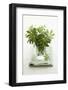 Woodruff in a Glass of Water-Marc O^ Finley-Framed Photographic Print