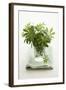 Woodruff in a Glass of Water-Marc O^ Finley-Framed Photographic Print