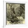 Woods Austria 1891-null-Framed Giclee Print