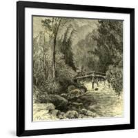 Woods Austria 1891-null-Framed Giclee Print