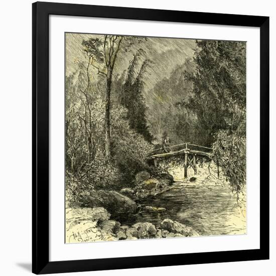 Woods Austria 1891-null-Framed Giclee Print