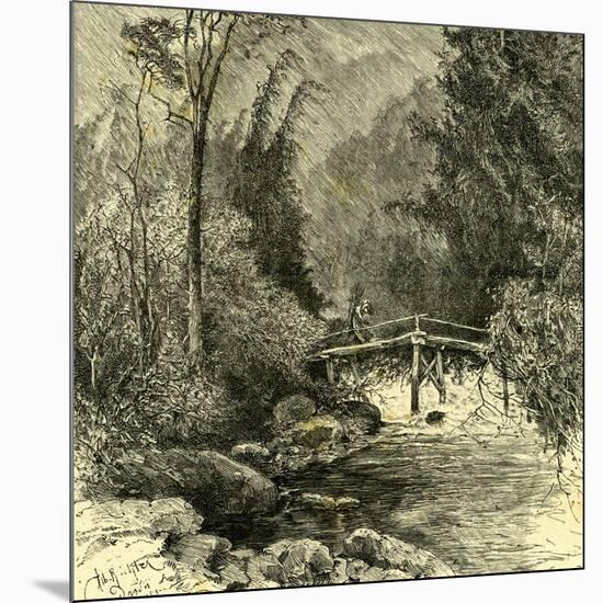 Woods Austria 1891-null-Mounted Giclee Print