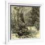 Woods Austria 1891-null-Framed Giclee Print