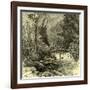 Woods Austria 1891-null-Framed Giclee Print