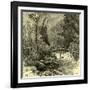 Woods Austria 1891-null-Framed Giclee Print