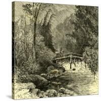 Woods Austria 1891-null-Stretched Canvas