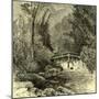 Woods Austria 1891-null-Mounted Giclee Print
