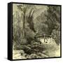 Woods Austria 1891-null-Framed Stretched Canvas