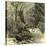 Woods Austria 1891-null-Stretched Canvas