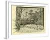 Woods Austria 1891-null-Framed Giclee Print