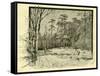 Woods Austria 1891-null-Framed Stretched Canvas